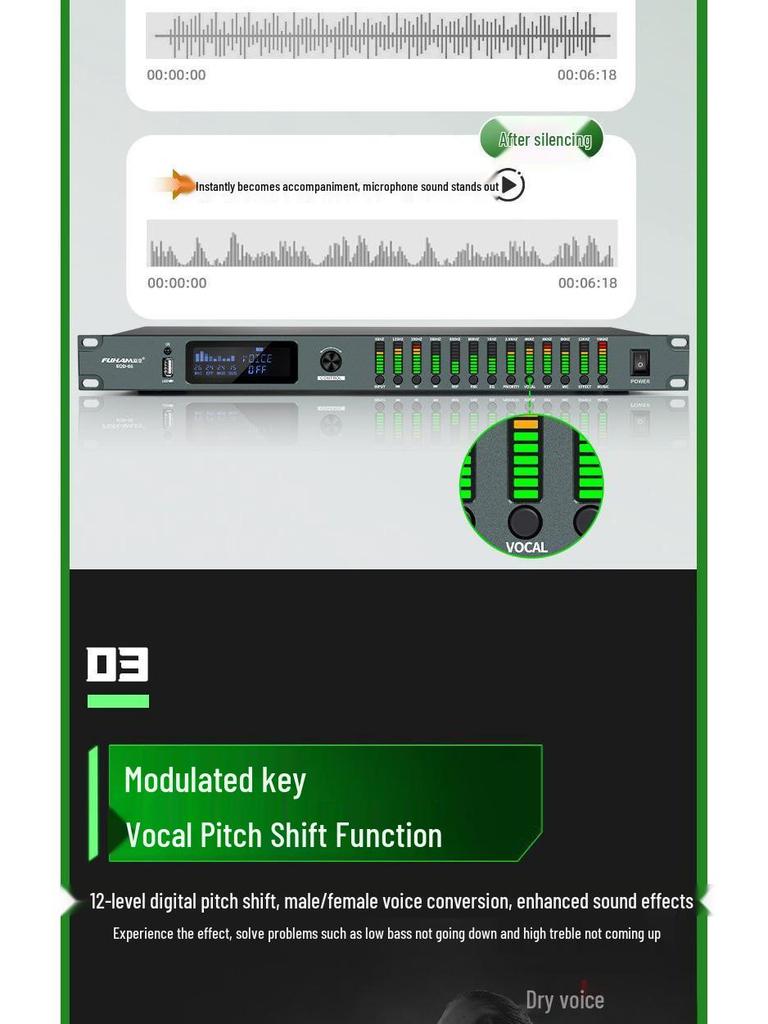 Professional Karaoke Stage & Home Audio Processor with Preamp, Anti-Howl, Equalizer, and Reverb Effects