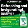 Earth Chemical Mouthwash Mondamin Peppermint 1080mL