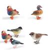 Animal Model Desktop Decor With Plastic Material For Educational Display And Bird Enthusiasts
