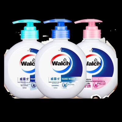 Walch Healthy Antibacterial Hand Soap Combo Set