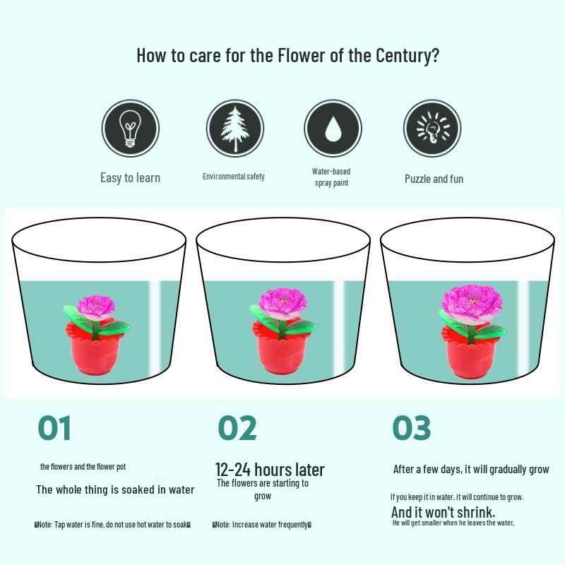Water-Expanding Cactus Succulent Toys - Creative, Unique & Novel Gifts for Kids
