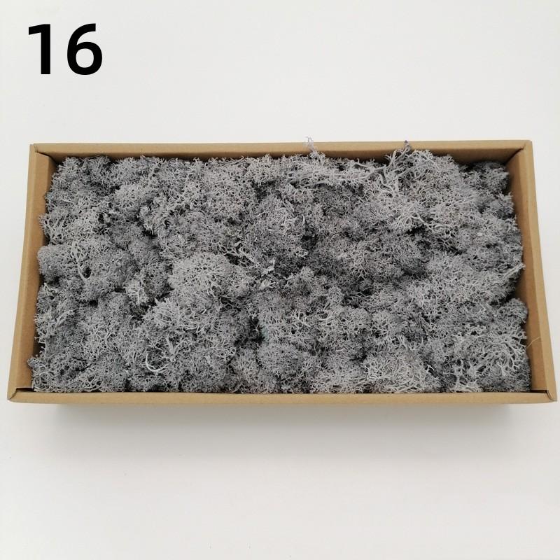 Neue 50/30/10g Künstliche Grüne Pflanzen Ewiges Leben Moos Gras Heim Garten Dekoration Mini Landschaft Künstliche Blume DIY Bastelgeschenke