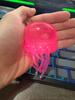 NeeDoh Quallen Squishy Spielzeug Stressabbau Oktopus Fidget Dekompression Outdoor Interaktiv Maltose Bestseller Knetspielzeug