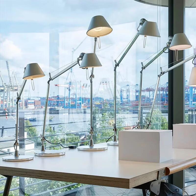 Oeny Double-Arm Desk Lamp
