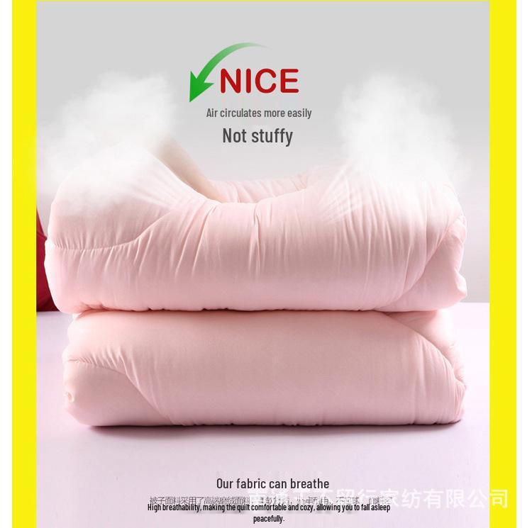 Brushed Comforter: Thickened Silk Cotton Quilt for All Seasons
