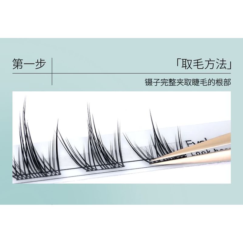 Bonnie Wisp - Spikes Multipack Falsche Wimpern Cluster