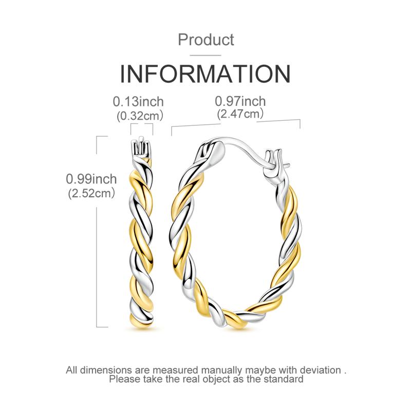 Fashion Gold Woman Hoop Earring 925 Sterling copper Sparkling Zircon Round Ear Stud Earrings Fine Zircon Lover Anniversary Gift