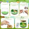 Dinosaur Terrarium Miniature Dinosaur Craft Independent Research Handmade Making Experiment Elementary School Popular Christmas Kids Dinosaur Toy Kit,