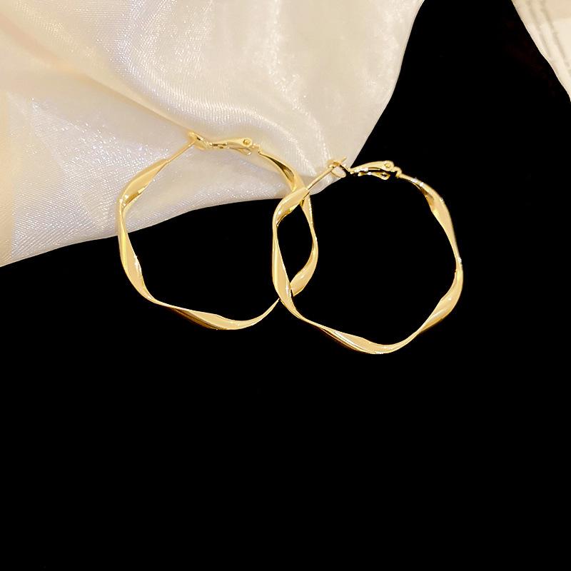 Stylish Silver Needle Round Hoop Earrings: Simple, Fashionable, Versatile, with a Light Luxury Feel