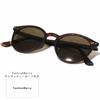 [FashionBerry] Matte Demi X Brown Sunglasses, Non-Prescription Glasses, Fashion Glasses, Tinted Glasses, Stylish Eyeglasses, Men's & Women's, Round,