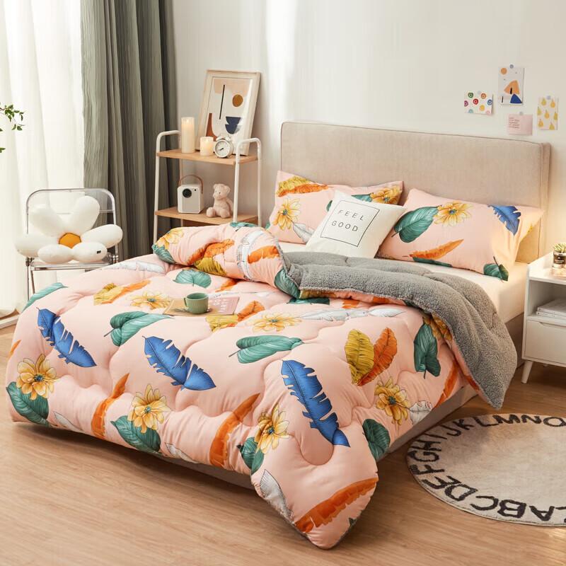 

DZQ Printed Lamb Fleece Warm Quilt 1.5m x 2.0m (2.5kg)