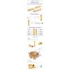 10pair New Amass Banana Plug 2mm 3.5mm 4mm 5.5mm 6mm 6.5mm Bullet Female Male Connectors Gold Plated Copper Semicircle