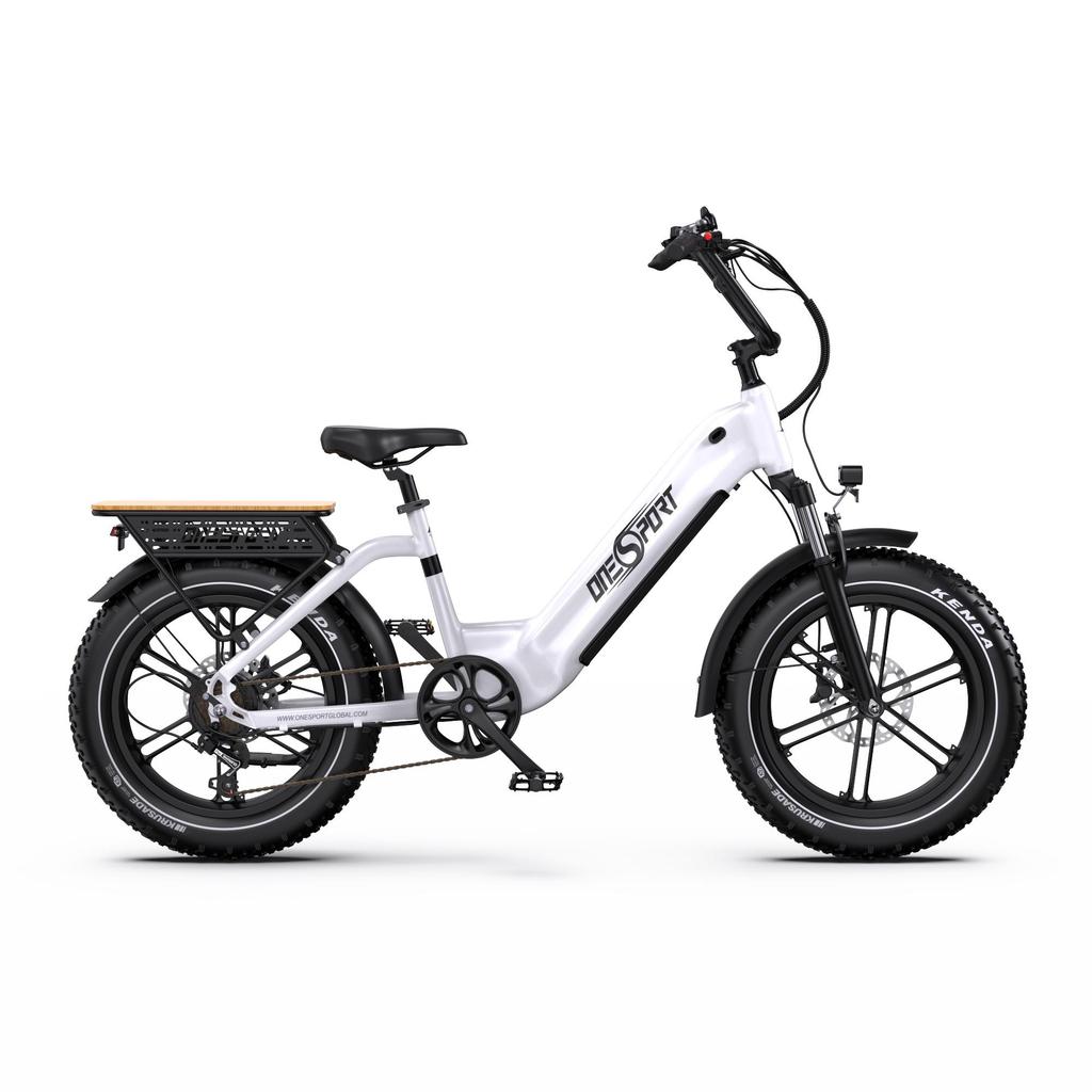 Electric Bicycle ONESPORT OT08, 500W Motor, 48V 18AH Battery, Top Speed 25 Km/h, Cruising Range 90km, 20*4.0 Inch Tires