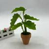 1:12 Dollhouse Miniature Plant Plastic Colorful Taro Green Plant  Miniature Dollhouse Decorations
