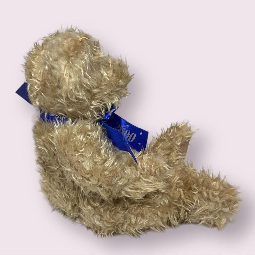 [USED] Vintage 2000 Millennium Teddy Bear Plush Toy from the UK