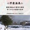 Manza no Yu Bath Additives, Hot Spring Base, 250g (10 servings)