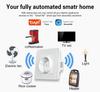 European Standard Smart WiFi Socket with APP Remote, Voice Control, Timer & Power Monitoring