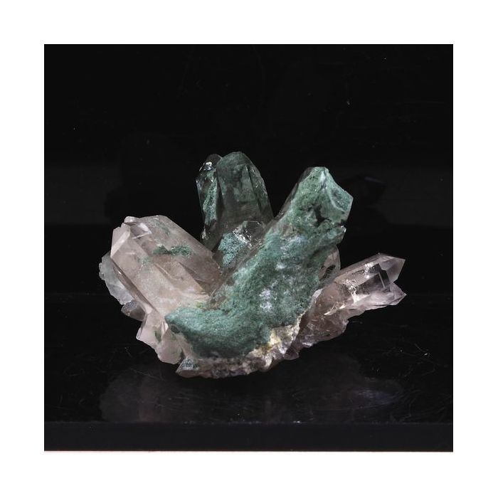 Pierres et Minéraux. Quartz + Chlorite. 106.20 ct. Rif Fournel, Freney d'Oisans, Isère, France.