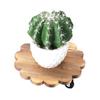 Wooden Plant Stand with Wheels Heavy Duty Rolling Plant Stand for Plant Pots