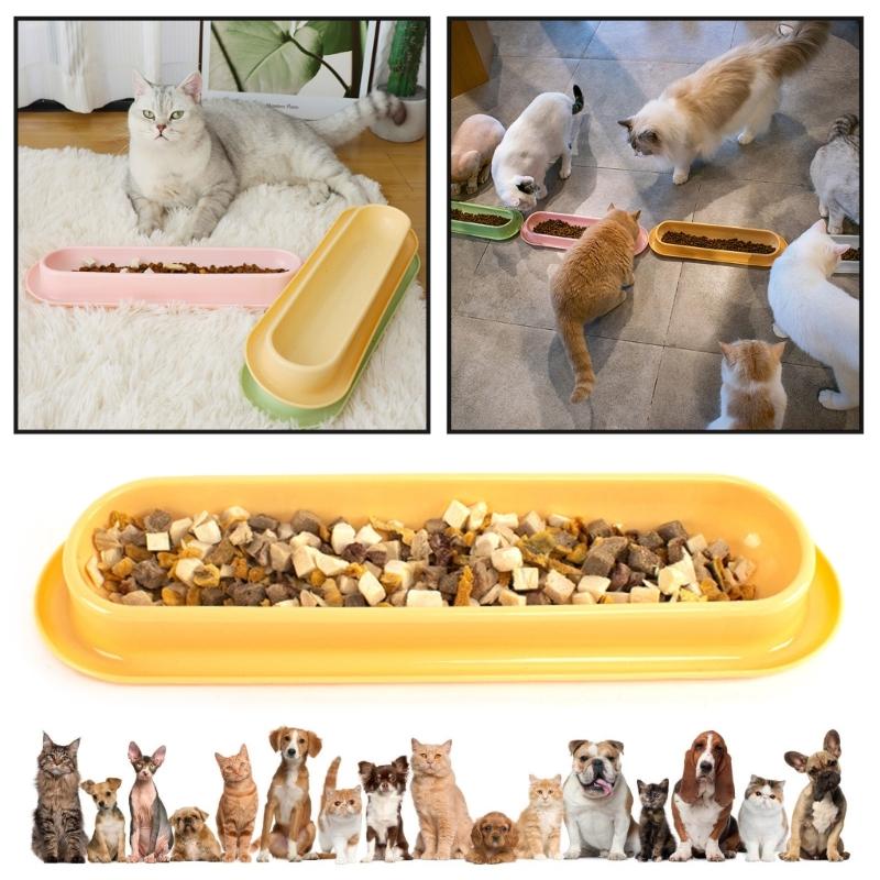 Pack of 3 Convenient Multiple Cats Feeding Stations Durably Easy to Wash Cats Feeding Dish for Multiple Cats Owner