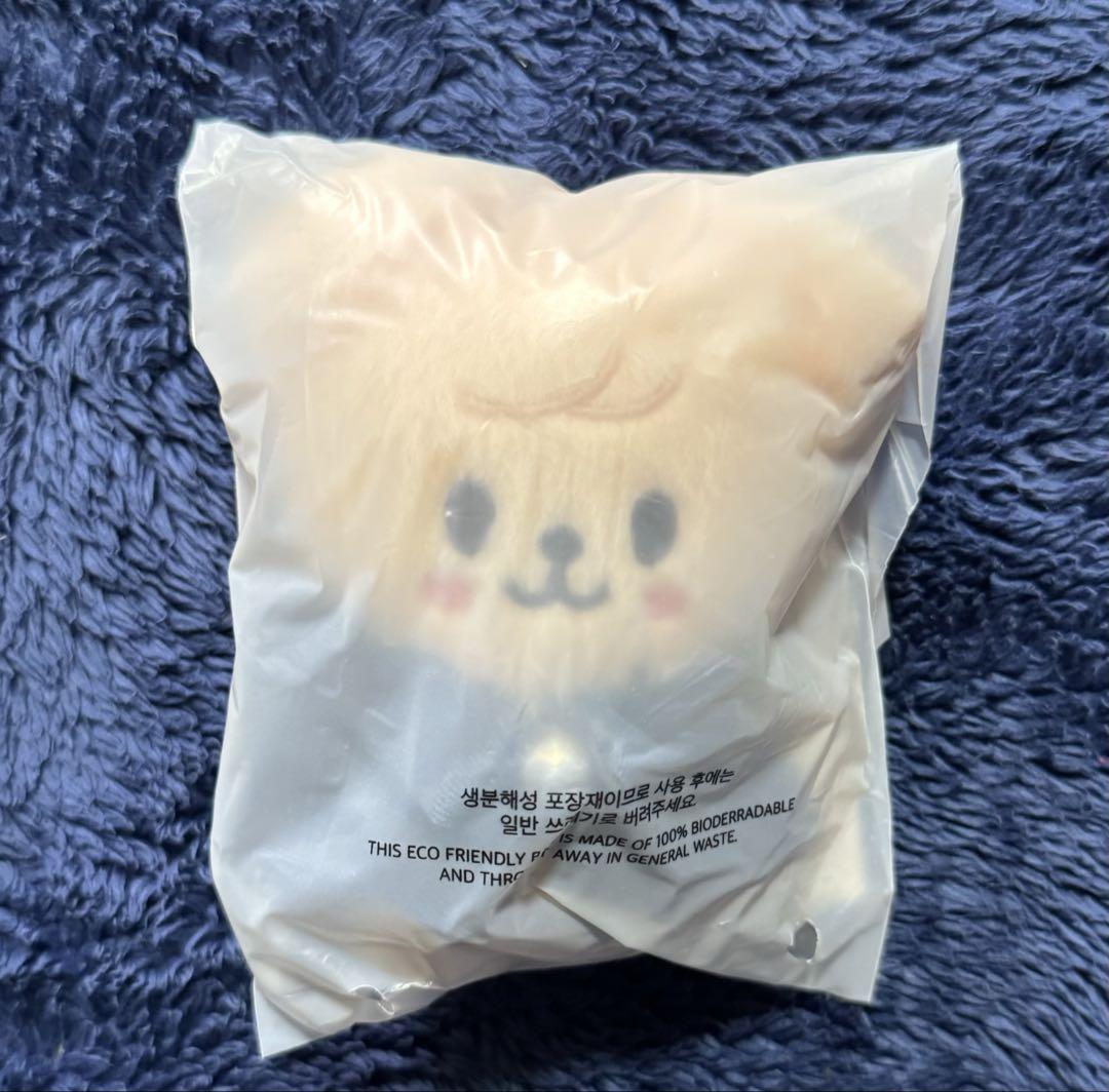 

[USED] Anonymous Shipping SKZOO Plush Toy 10cm Puppy