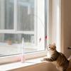 Interactive Switchable Butterfly Pattern Cat Teasing Stick With Removable Handle 360° Swivel Automatic Cat Teaser For Kittens