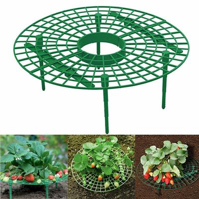 1 pz supporto per fragole piantare rack supporto per frutta pianta rampicante puntelli attrezzo da giardino