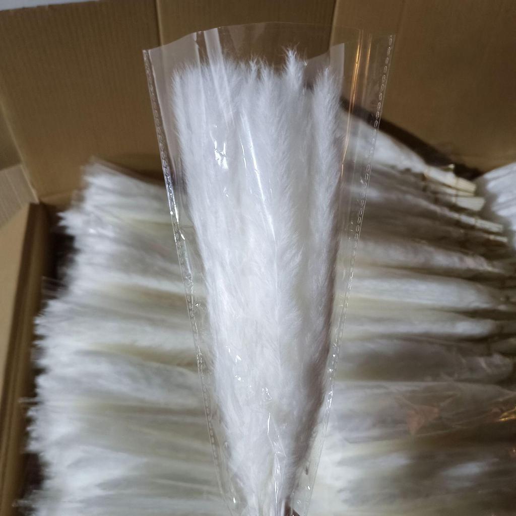 Whisk Rabbit Tail Grass Dried Flower Bouquet - Natural Pampas Grass & Small Reed