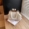 Autumn new embroidery bag new popular exquisite portable gold bag pearl chain messenger bag women