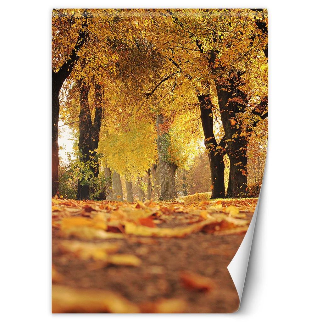 Wallpaper Golden Polish Autumn