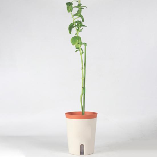 Pot Stand Shape Plant Anti-rust Durable Anti-deformed Long-lasting Wide Applications Reusable Plant Climbing Sturdy Plant Support Stakes for Amaryllis