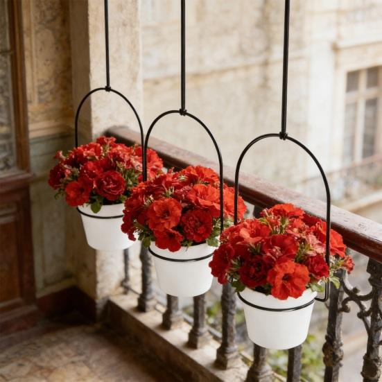 Innen-Hängepflanzer-Set Wandmontage-Pflanzenhaken-Set Hängender Blumentopf mit Metall