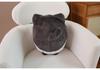 Cuscino Peluche Gatto Cicciotto Carino - Cuscino a Forma di Raviolo Tricolore e Ornamento da Comodino, Regalo di Compleanno Perfetto