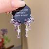 Silver Needle Heart Zircon Rhinestone Earrings - High-End Fashion Design