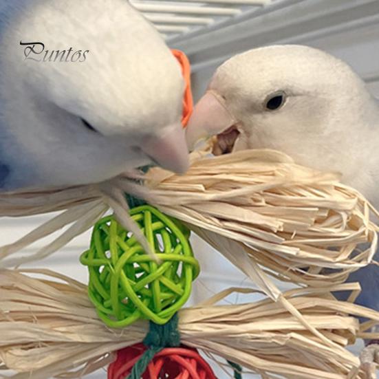 Parrot Playing Toy Bird Bite Resistant Lanyard Teeth Grinding Gnawing Healthy Parrots Macaws Supplies for Pet Cage Chewing