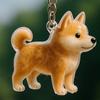 Transparent Cat Dog Hair Storage Box Pendant Keychain Collect Pets Hair Commemorate Bag Pendant Save Cat Hair Storage Capsule