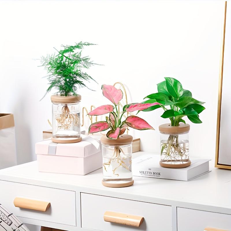 Transparent Imitation Glass Small Flowerpot,planting Potted Plants,resin Flowerpot for Green Plants,office,hotel,home Decoration