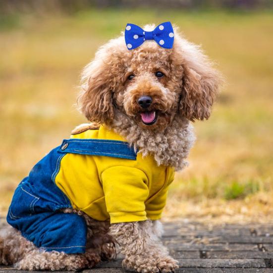 

Собака Маленький Бантик для Волос з Гумками Ручної Роботи Бантик у Горошок для Волосся Домашнього Улюбленця Аксесуари для Грумінгу для Вечірки Різдва Дня Народження E