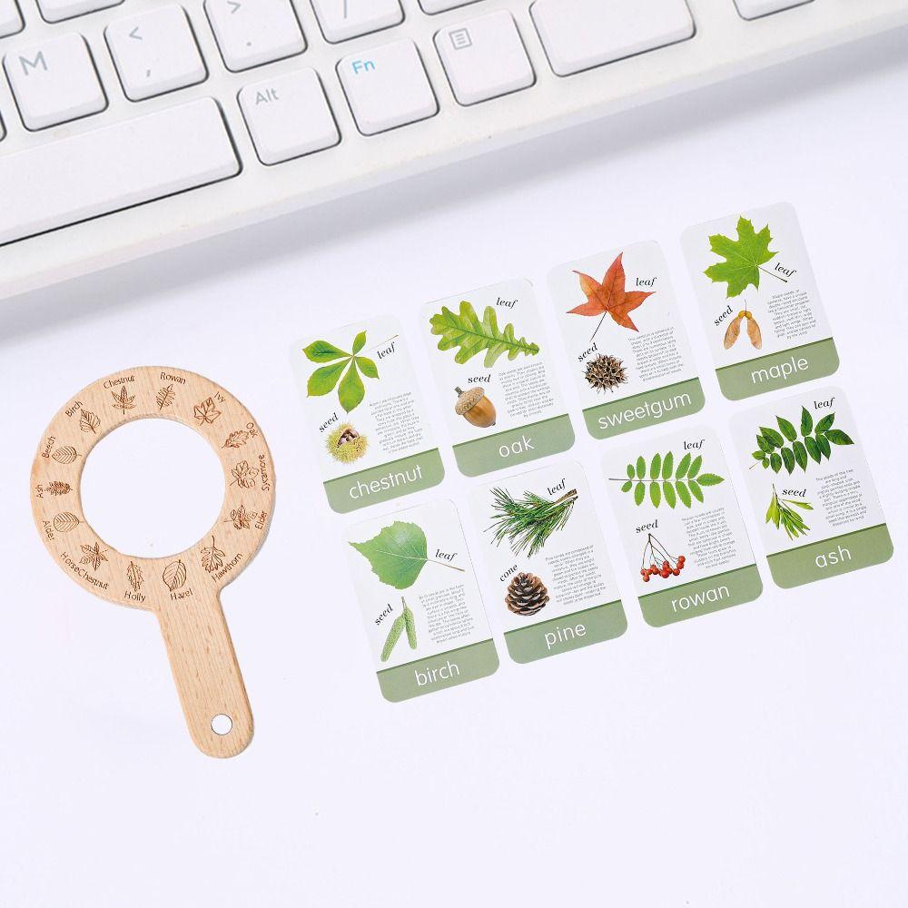 Educational Toys Magnifying Glass Toys Wooden Plant Cognition Cards  Parent-Child