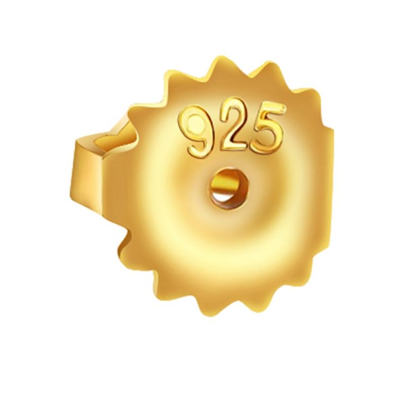 Stainless Steel Screwbacks Earring Backs Replacements for Posts Earring Backings Secure for Studs Hypoallergenic Locking