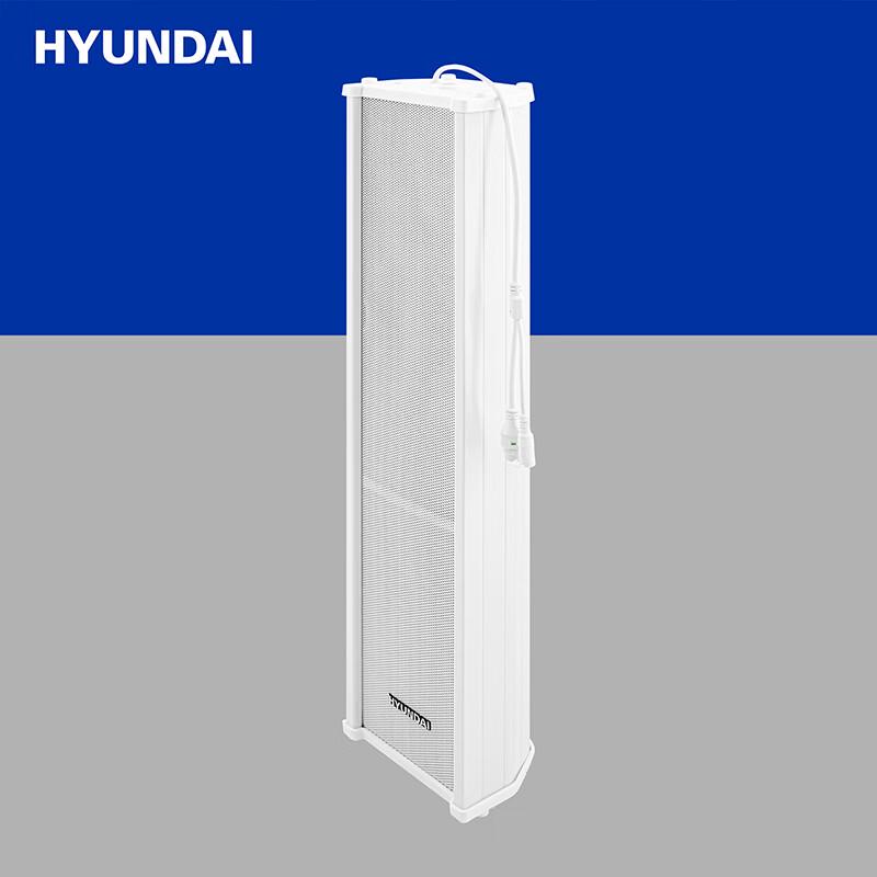 Hyundai IP Network Broadcasting Audio Systems CN plug (adapter included)