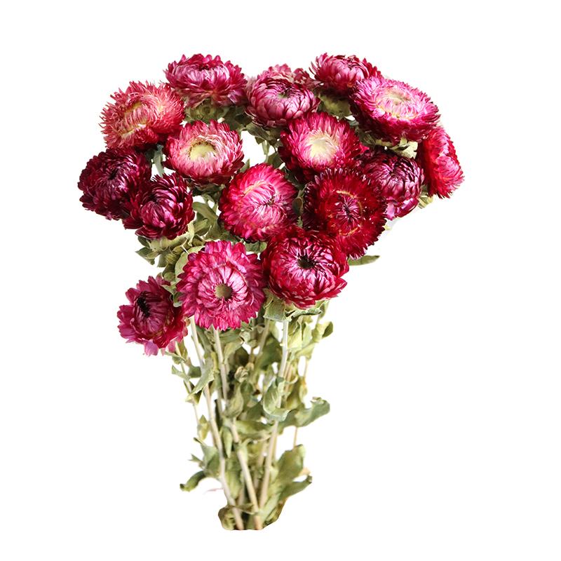 Daisy Dried Flower Bouquet for Living Room and Bedroom Décor - Natural Yunnan Flowers for Display or Photo Props
