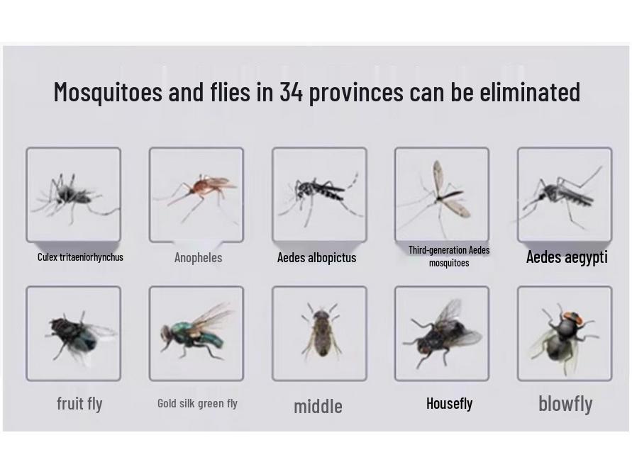 Rechargeable 2025 Electric Mosquito Swatter & Killer Lamp: Safe Household Repellent for Babies & Pregnant Women