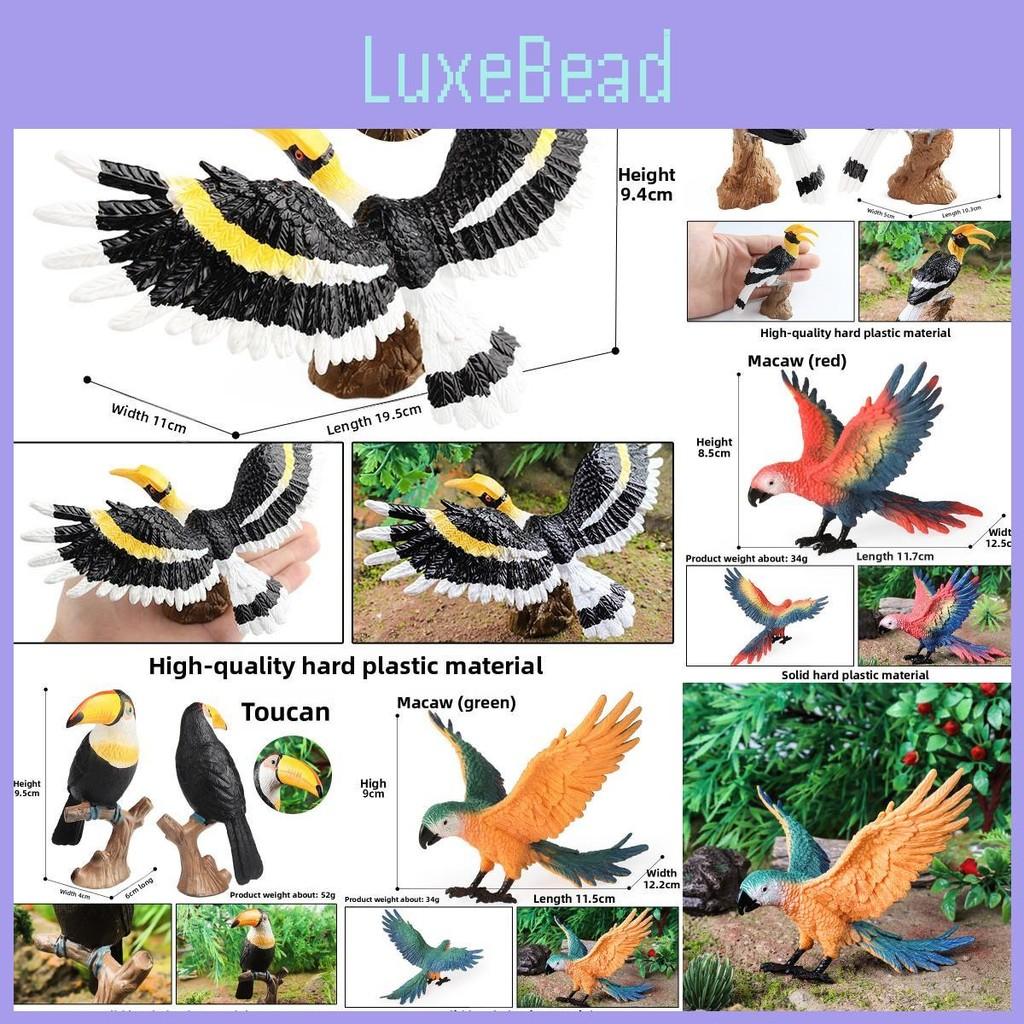 Animal Model Wildlife Solid Plastic Parrot And Hornbill Figures For Kids Gift