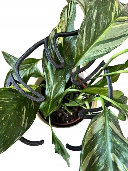 Pflanzenblumen-Stütze Ring-Klammer Stütze Ring Monstera M 33cm