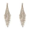 Silver Needle Rhinestone Tassel Earrings: Elegant and Luxurious Cross-Border High-End Commuter Studs with Unique Personality
