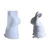Easter Rabbit Design Silicone Mold Functional Silicone Ornament Mold For Making Easter Rabbit Crafts And Keepsakes
