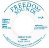 7-Zoll-Schallplatte PAUL HALL Great Pain Great Dub NONE Freedom Sounds Jamaika Reggae Ska Dub Gebraucht