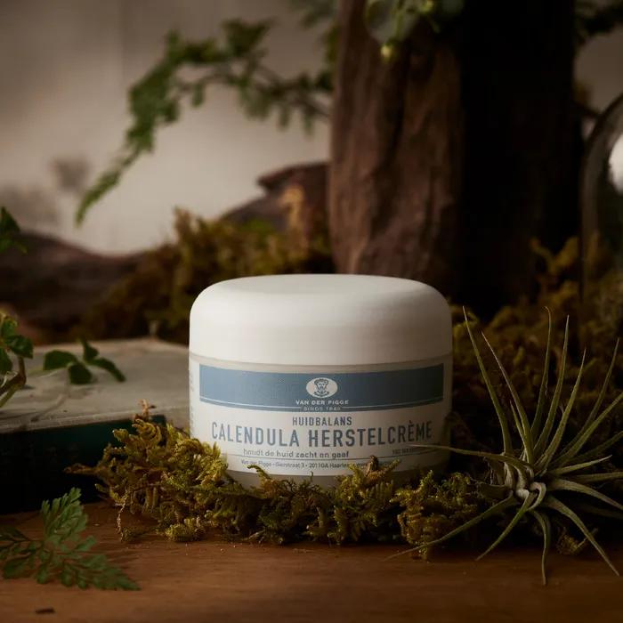 Moisture soothing cream & eye cream skin elasticity boosting set