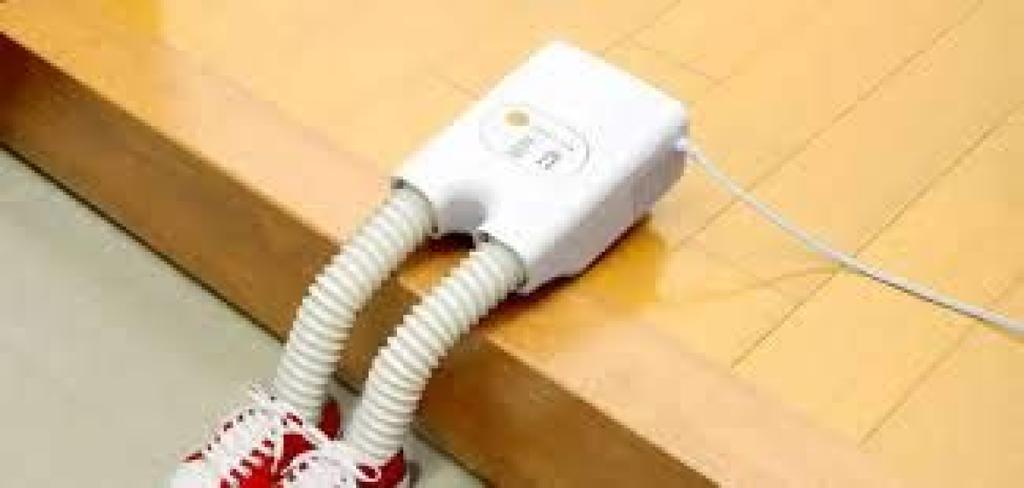 IRIS OHYAMA Kararie Futon Dryer with Twin Nozzle